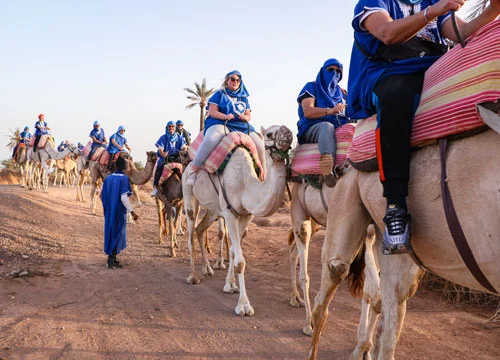 Dromadaire Palmeraie - 1h
