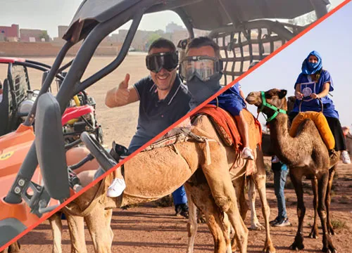 Combo Dromadaire & Buggy