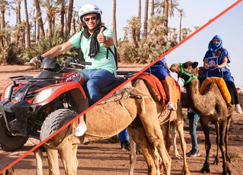 Combo Dromadaire & Quad