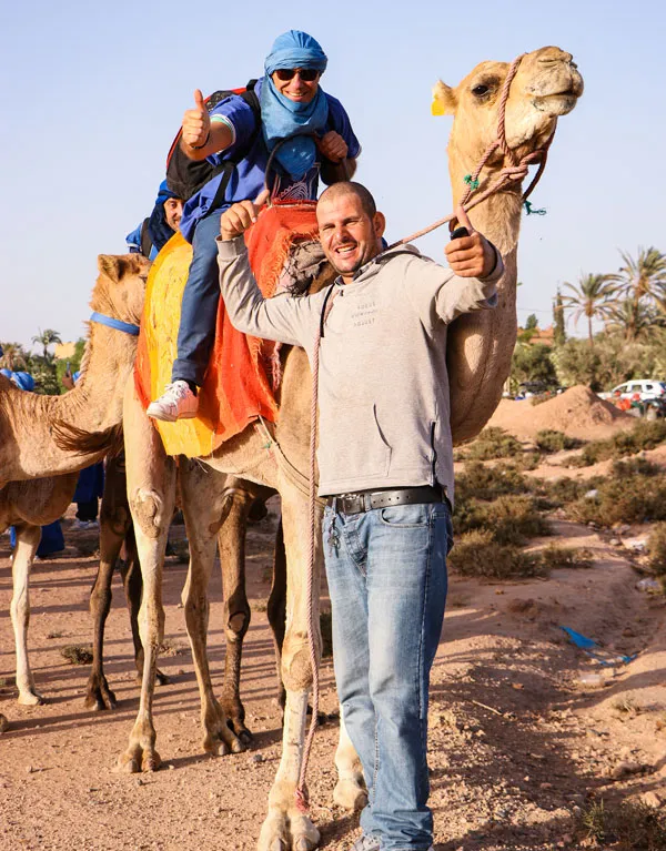 Dromadaire Palmeraie Marrakech